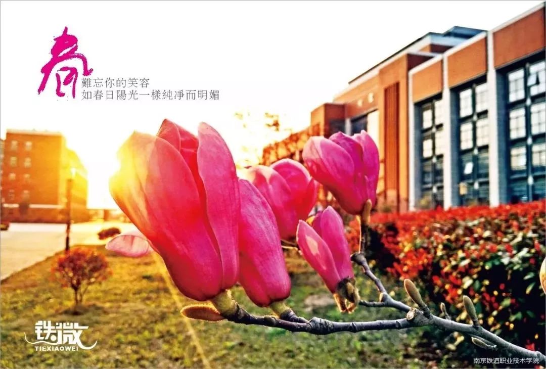 聚焦 | 南京铁道职业技术学院2020年提前招生简章