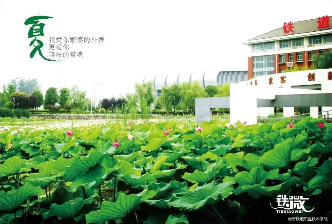 聚焦 | 南京铁道职业技术学院2020年提前招生简章