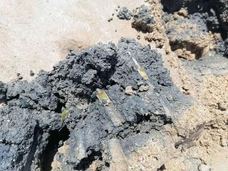 早播报：青岛经适房五年后可申请变更为商品房 青岛各大医院最新就诊提示…