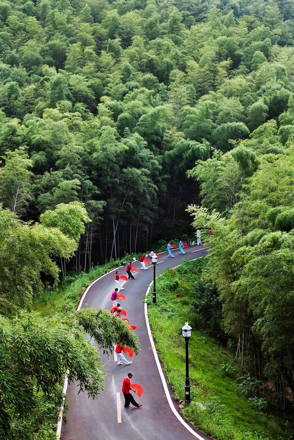 连休5天！五一假期安排湖北这4条自驾线路，寻觅山岳峡谷、打卡江湖林海！