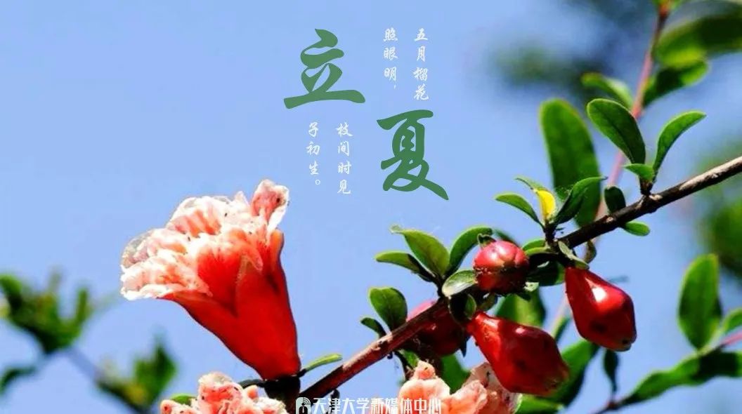 直播预告 | 寻找有志向、有兴趣、有天赋的天大青年