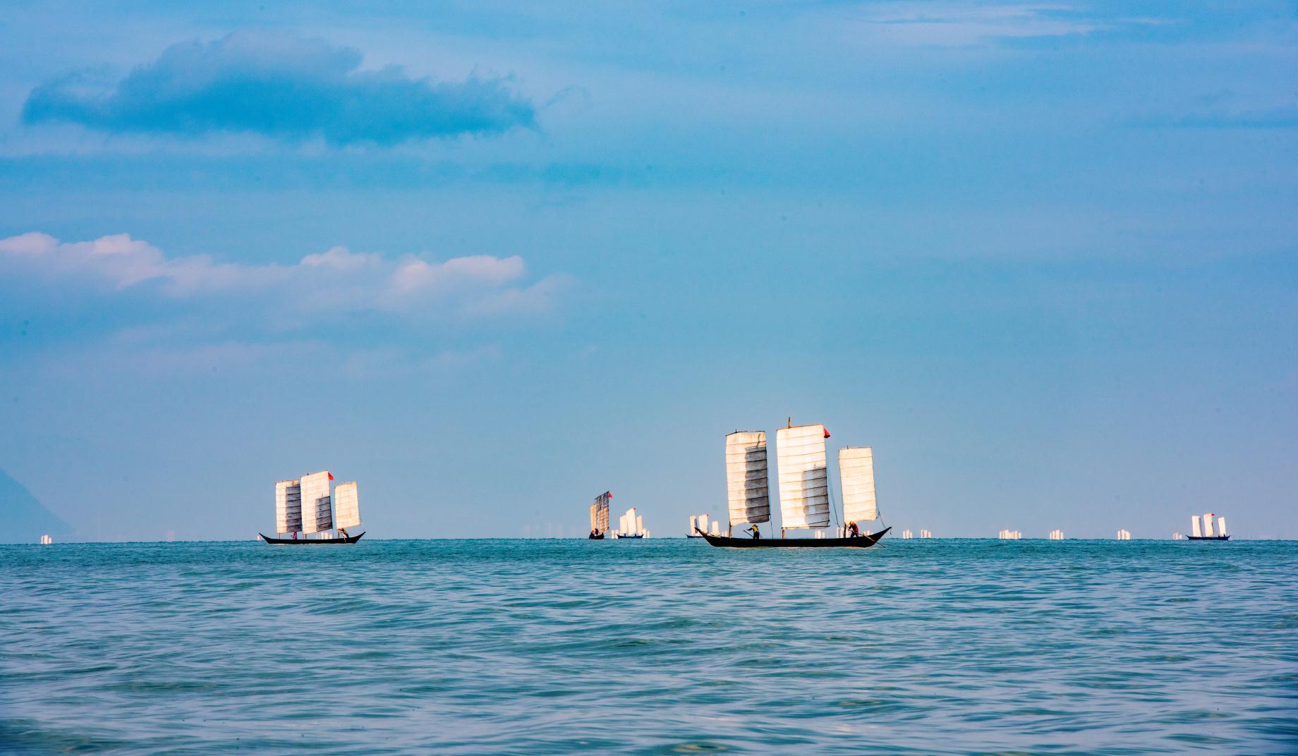 挽救一条鱼：濒危物种滇池金线鲃“沉浮”启示录