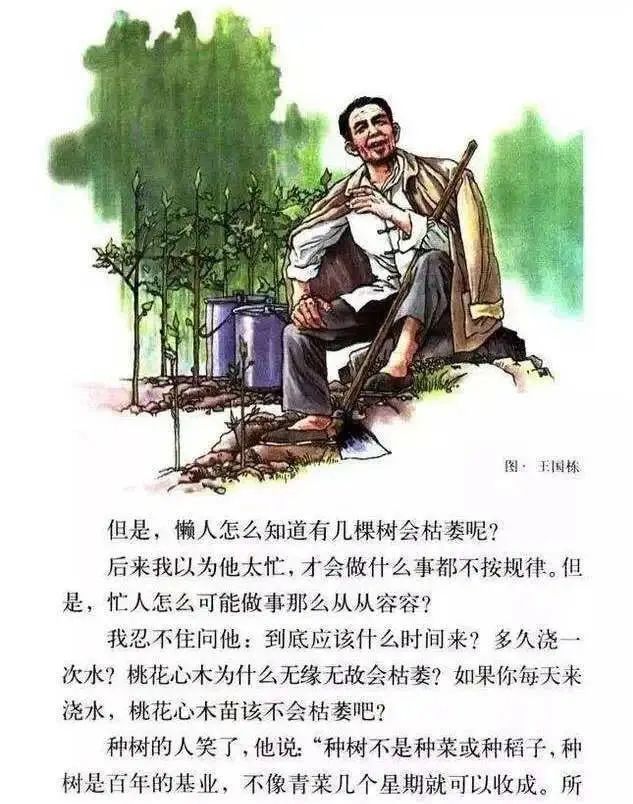 那一墙爬山虎还是那么绿着 | 人教社70周年征文来稿