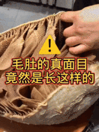 黄喉不是喉，毛肚不是肚