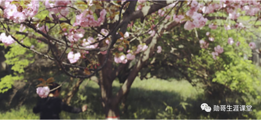 省外名气一般般，本省“首屈一指”的双非名校，可“捡漏”