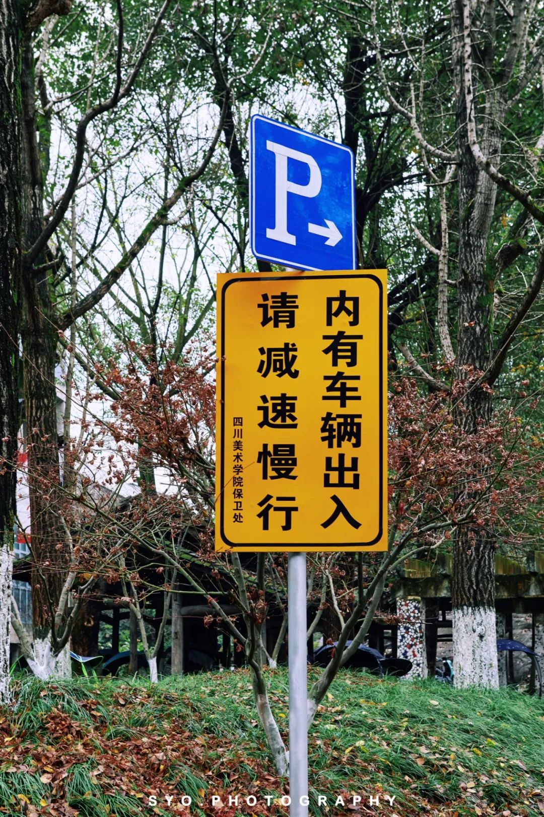 重庆｜在重庆川美学院“遇见”高迪（沙坪坝区一日游）