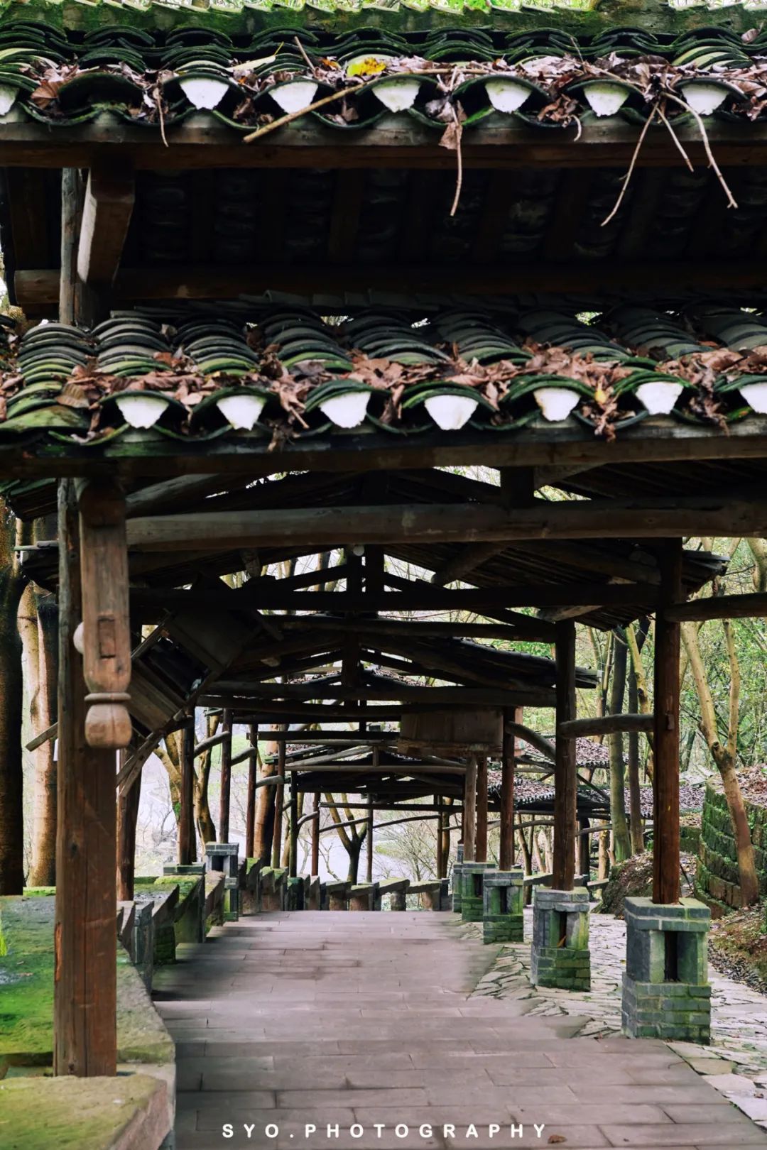 重庆｜在重庆川美学院“遇见”高迪（沙坪坝区一日游）