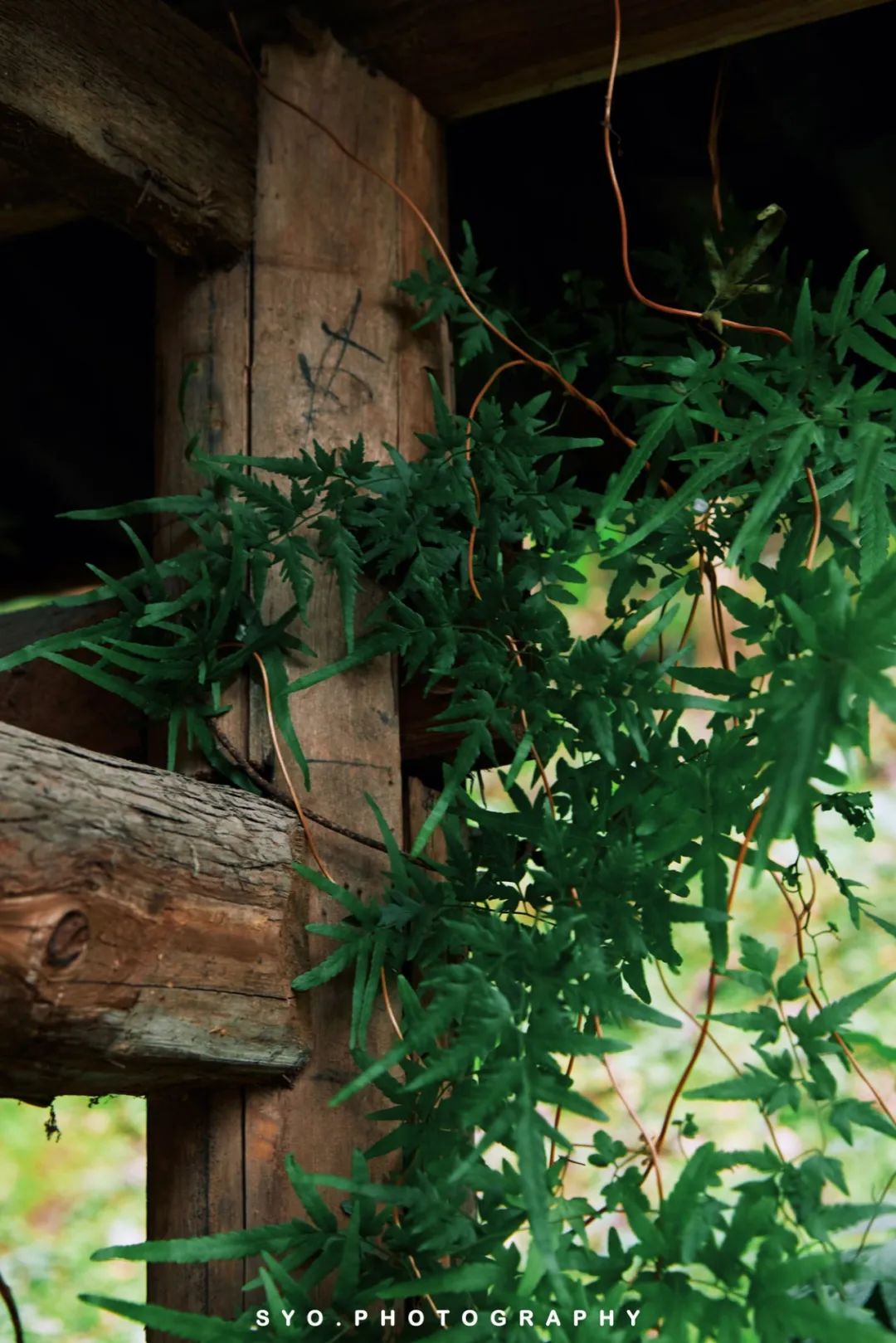 重庆｜在重庆川美学院“遇见”高迪（沙坪坝区一日游）