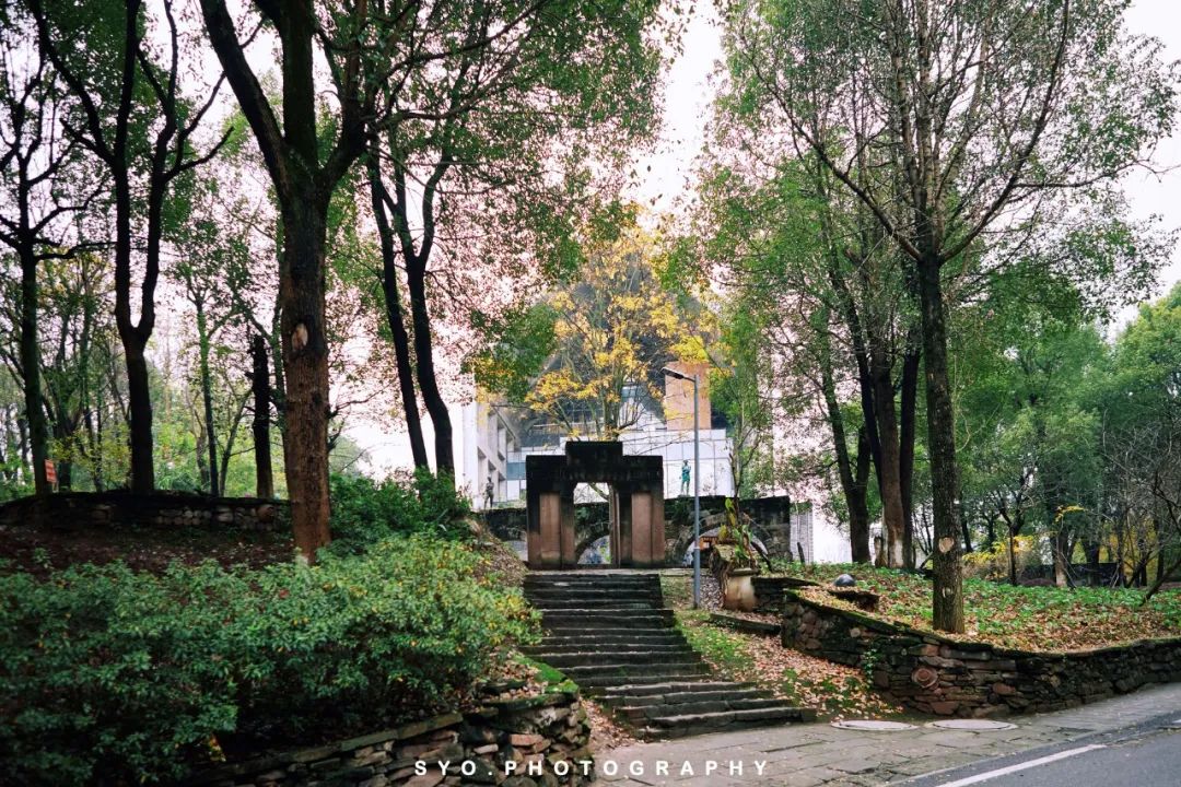 重庆｜在重庆川美学院“遇见”高迪（沙坪坝区一日游）