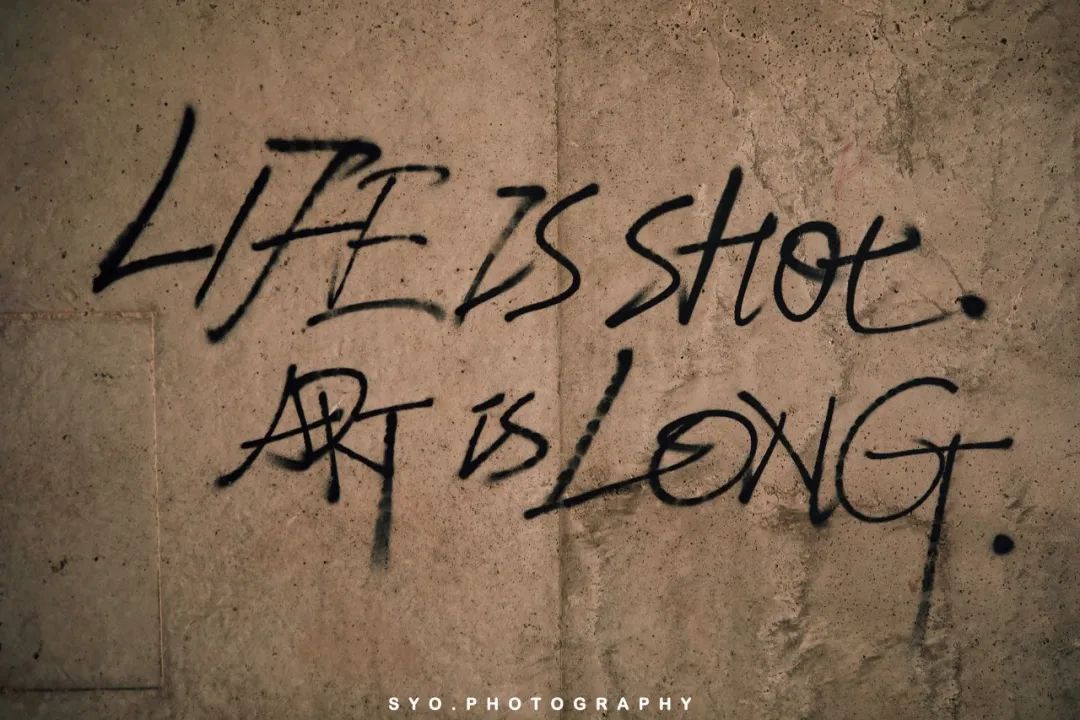 重庆｜在重庆川美学院“遇见”高迪（沙坪坝区一日游）