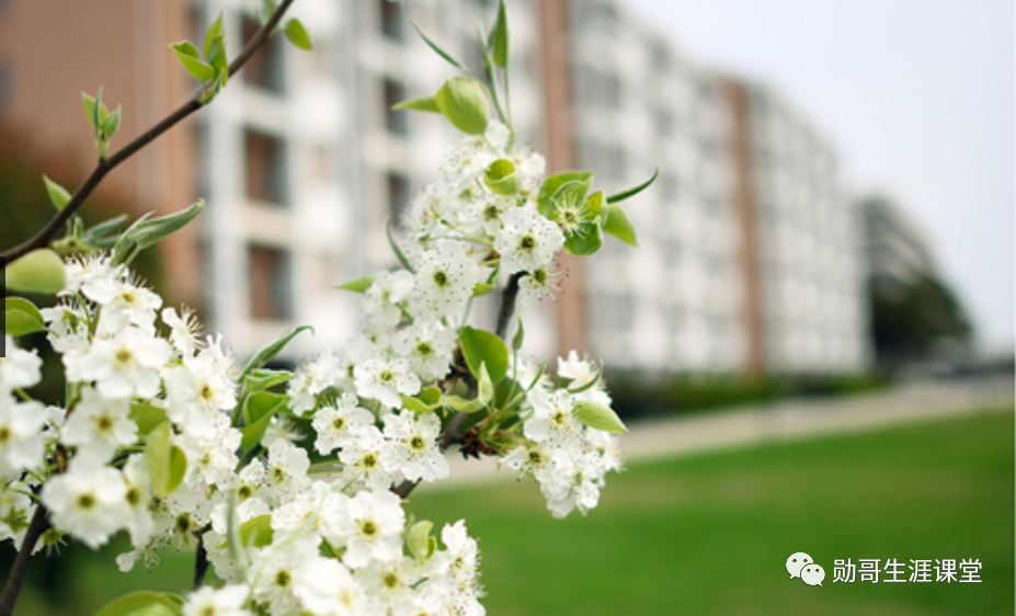 压线报考“垫底”985大学，不如报考这12所211大学顶尖专业