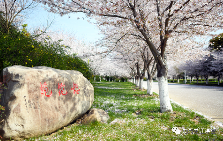 压线报考“垫底”985大学，不如报考这12所211大学顶尖专业