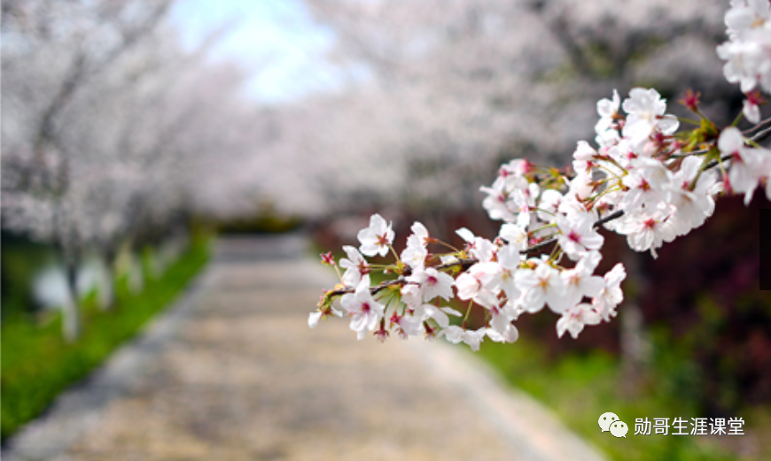 压线报考“垫底”985大学，不如报考这12所211大学顶尖专业