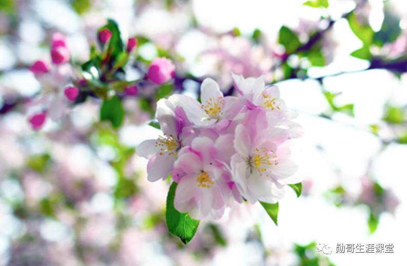 压线报考“垫底”985大学，不如报考这12所211大学顶尖专业