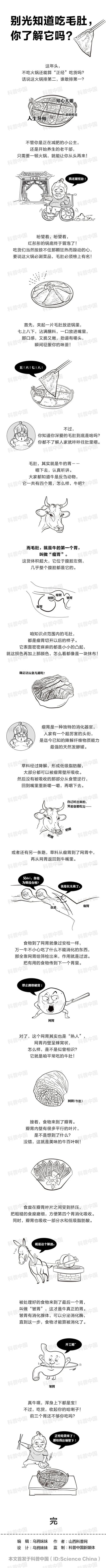 毛肚是什么动物身上的(别光知道吃毛肚，你真的了解它吗？)