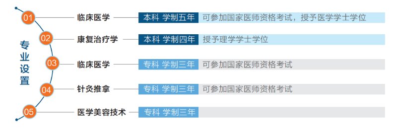专业解码｜齐鲁医药学院临床医学院——理析百病 德能双修
