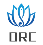 ORC这个币怎么样（ORC币能买吗）-第7张图片-科灵网