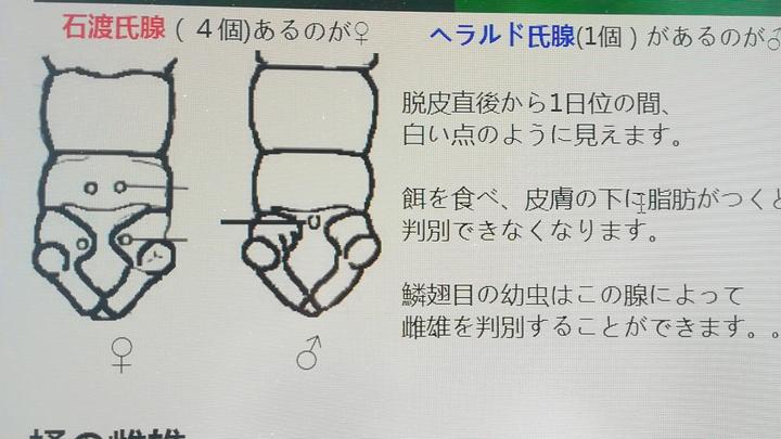 1ֻĸ϶伸ֻ϶꣨һֻĸ϶伸ֻ϶꣩-ʳƷе