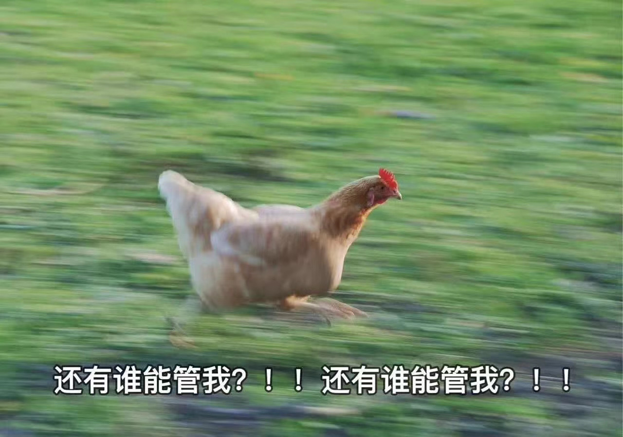 极速赛车计划全天在线(假期宅在家也能拥有好心情!解闷手游推荐)