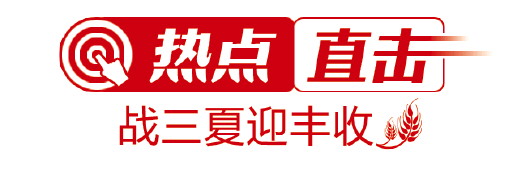 兩代農(nóng)機(jī)手瀟灑話(huà)麥?zhǔn)? inline=