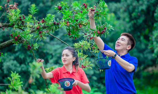 余姚杨梅节(2020中国余姚杨梅节今天开幕了!
