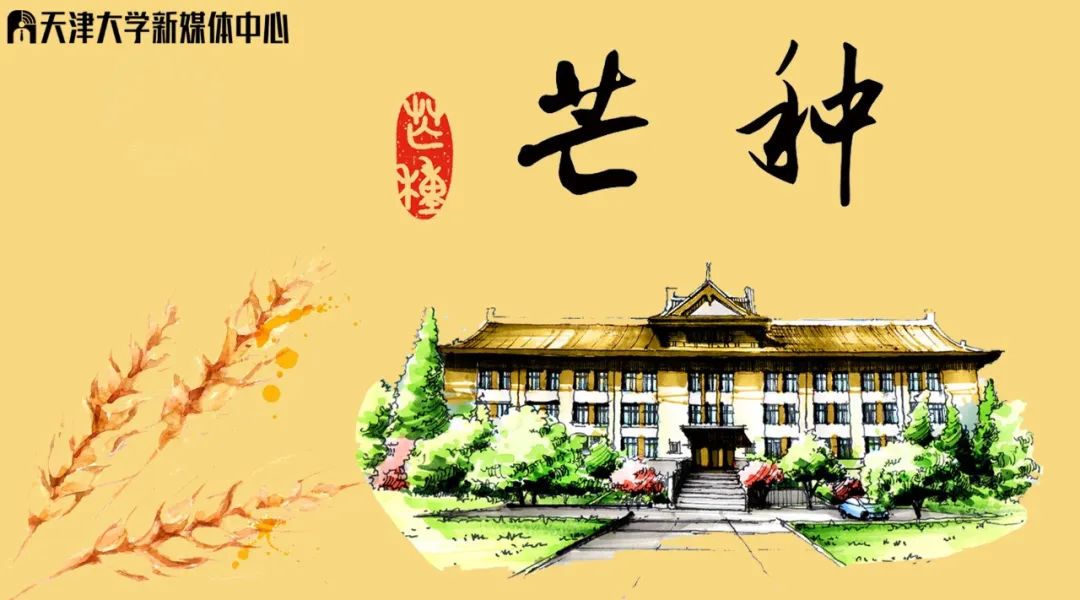 天大人、南开人的“地摊”记忆