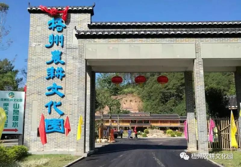 来梧州，体验岭南文化，吃遍大街小巷 | “广西人游广西”精品自驾游路线