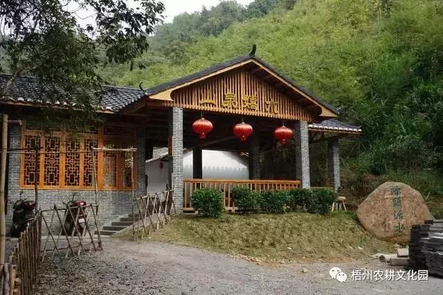 来梧州，体验岭南文化，吃遍大街小巷 | “广西人游广西”精品自驾游路线