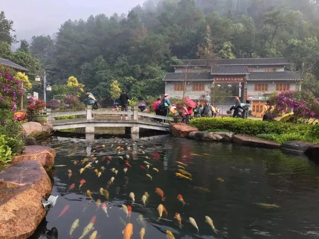 来梧州，体验岭南文化，吃遍大街小巷 | “广西人游广西”精品自驾游路线