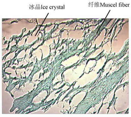 冰箱冷藏温度（冰箱冷藏温度多少度合适）-第7张图片-昕阳网