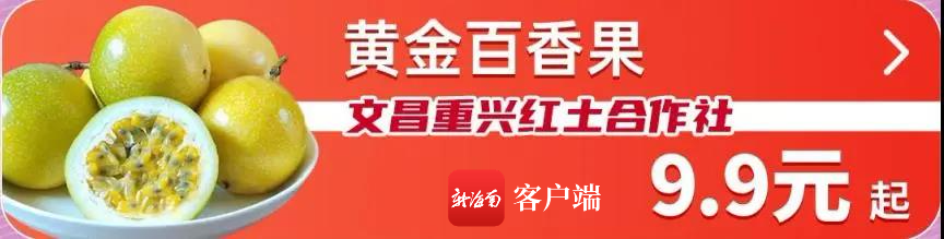 9.9元起超低价格抢购等你来！海南爱心扶贫网“618”文昌专场优惠大促