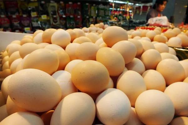 5月份兰州市居民消费价格中鸡蛋价格环同比降幅明显
