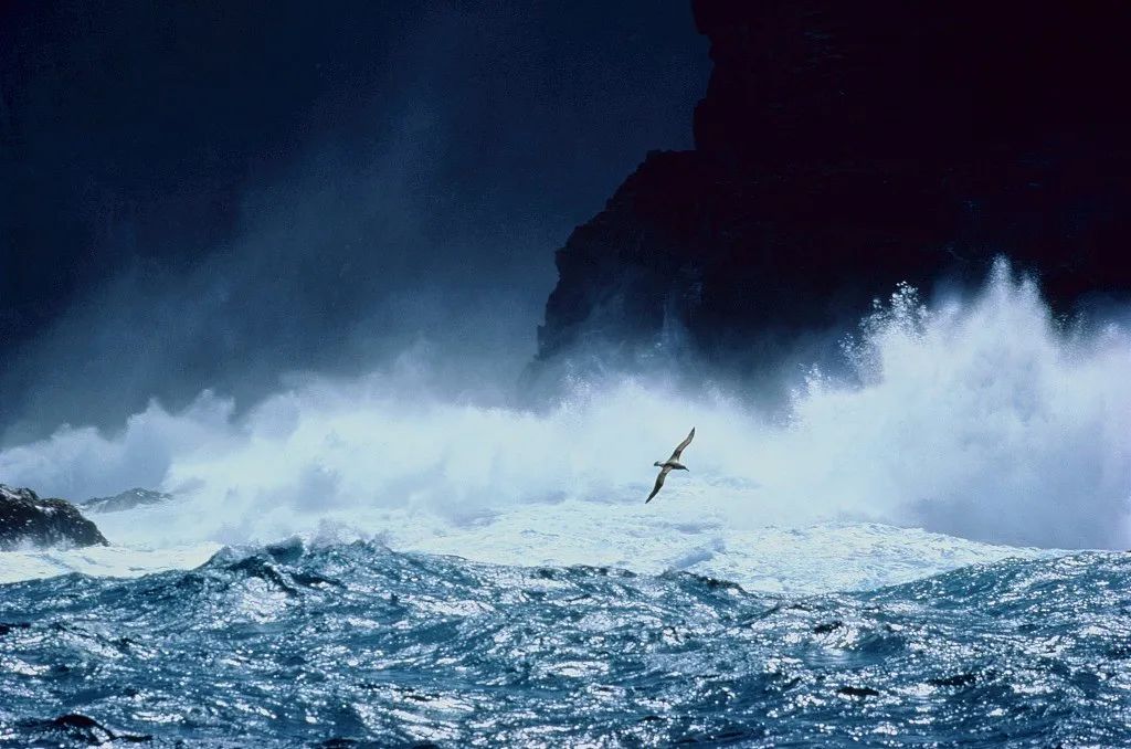 高尔基自传体三部曲 高尔基三部曲在线阅读-大连号