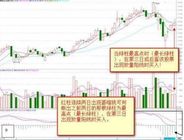 终于有人把MACD讲清楚了：MACD的价值不在“金叉死叉”，而在“红柱绿柱”