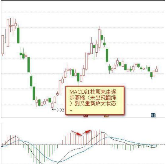 终于有人把MACD讲清楚了：MACD的价值不在“金叉死叉”，而在“红柱绿柱”