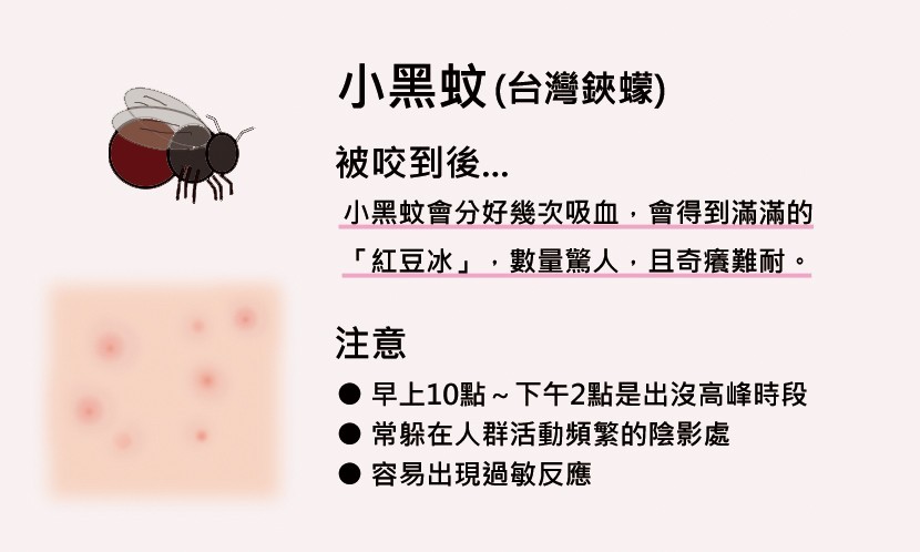 跳蚤咬的症状图片 怎么判断是被跳蚤咬的图片-星星快文