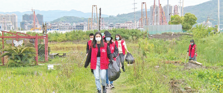 拧紧螺丝、上紧发条！乐清全力以赴做好国家卫生城市巩固工作