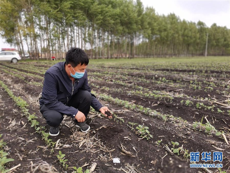 习近平总书记关切事丨让每一寸耕地都成为丰收的沃土——我国加强耕地保护推进“藏粮于地”