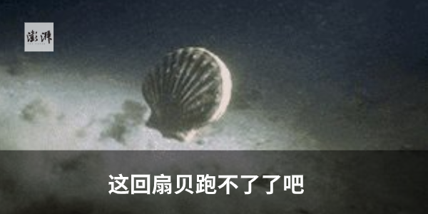 利物浦赢得英超冠军(利物浦首夺英超冠军)