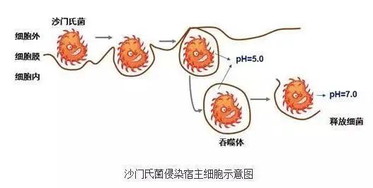 一场喜酒,18个亲戚,半条命差点没了