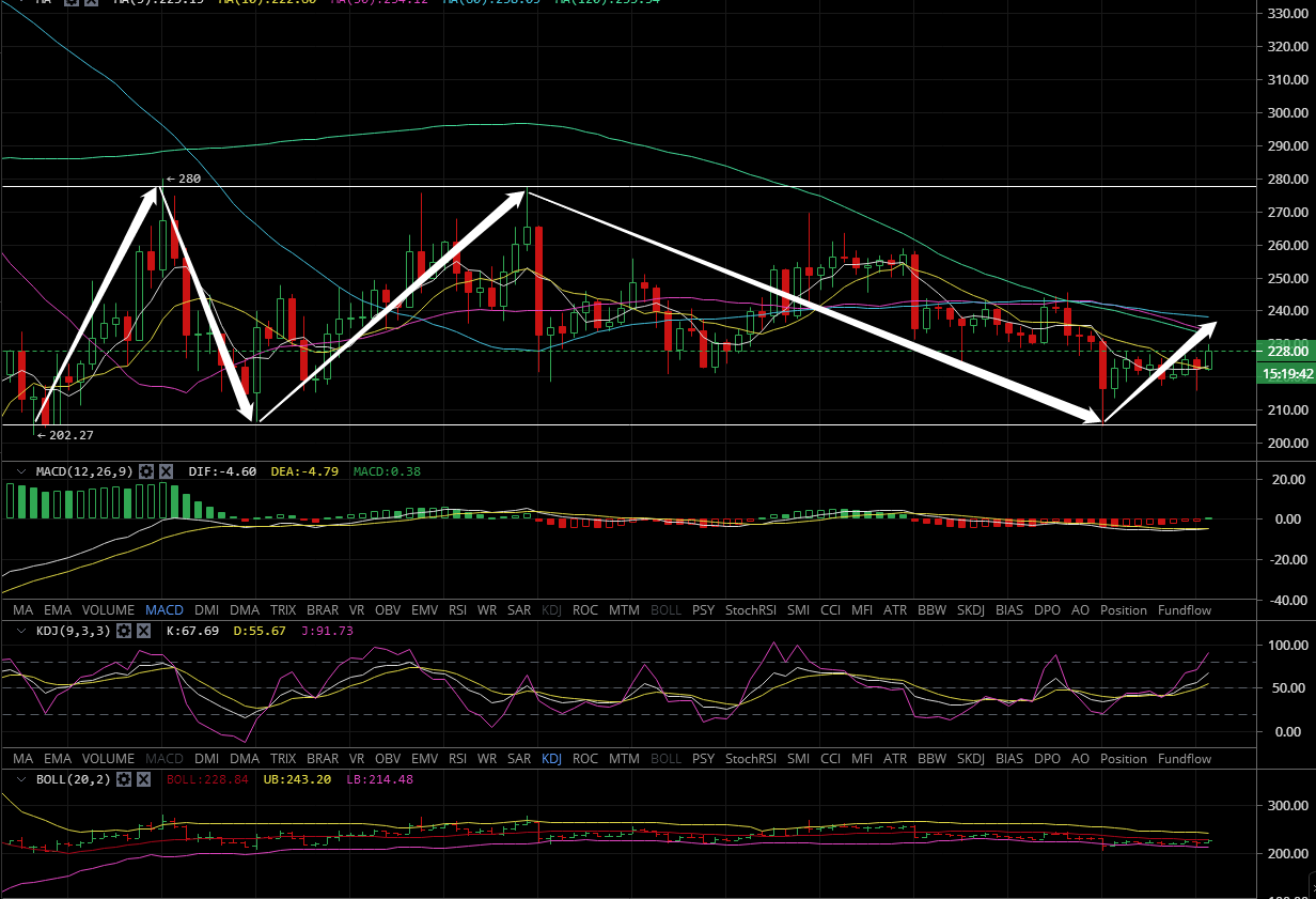 比特现金、莱特币、柚子币、BSV行情分析建议