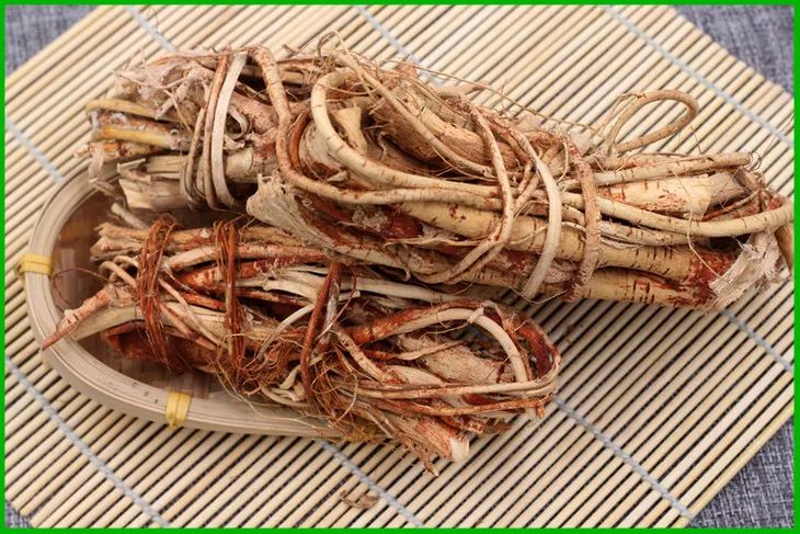 中药毛桃的功效与作用(中药毛桃的功效与作用图片 药用价值)-我的快乐