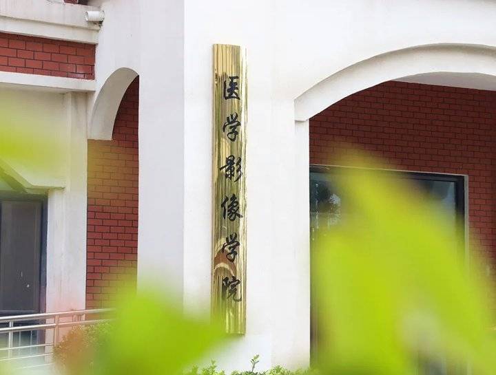 院系解码｜齐鲁医药学院医学影像学院——学以致用 精益求精