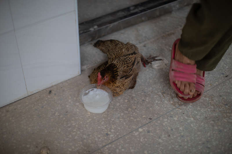 探访九江永修湖东学校安置点 学生志愿者为受灾群众服务