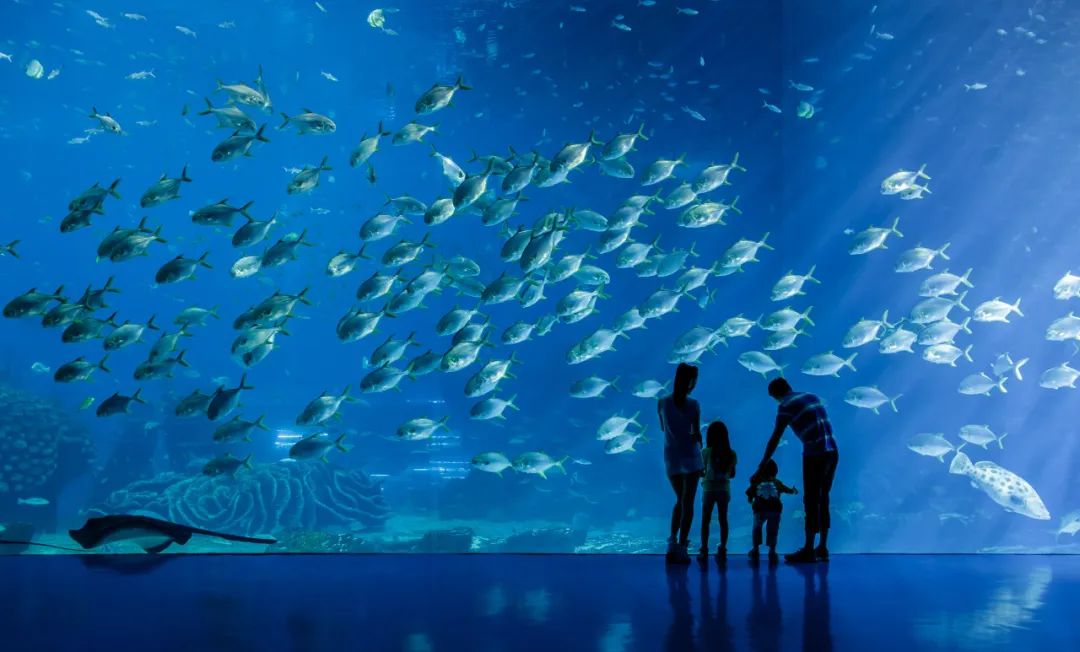 另外,还有广州长隆欢乐世界,珠海长隆海洋王国,广州长隆野生动物世界