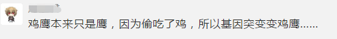 放养的鸡没了！盗贼真不是“人”…