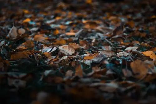 酸雨的主要成分（酸雨的主要成分和成因）-第13张图片-大连信息网