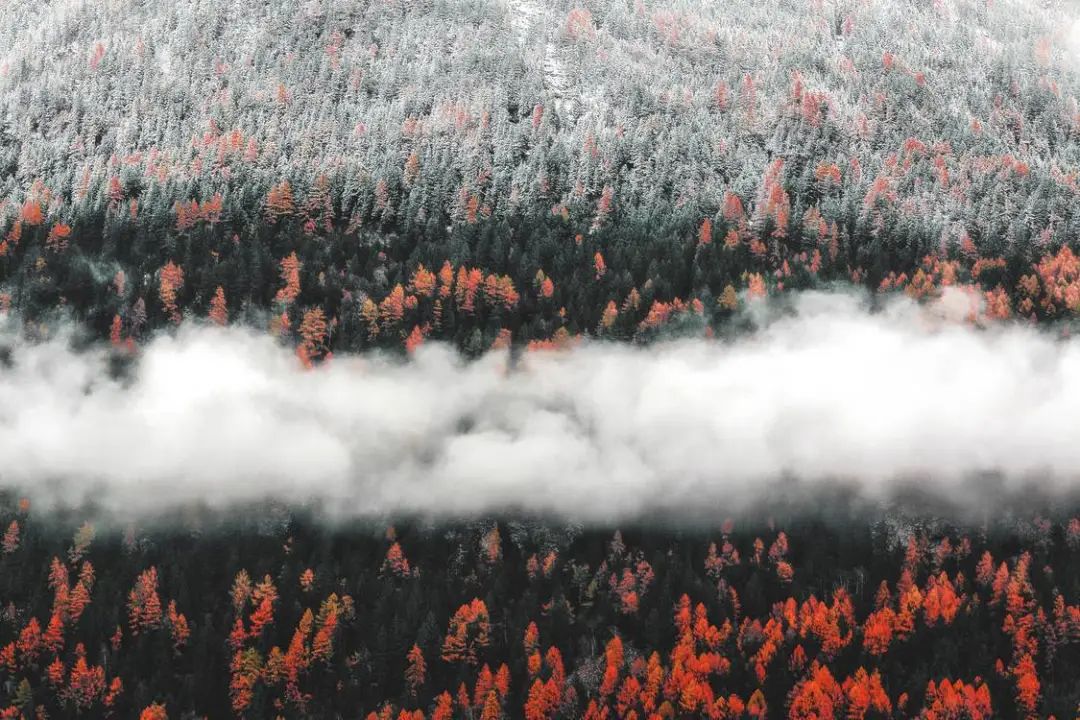 酸雨的主要成分（酸雨的主要成分和成因）-第14张图片-昕阳网