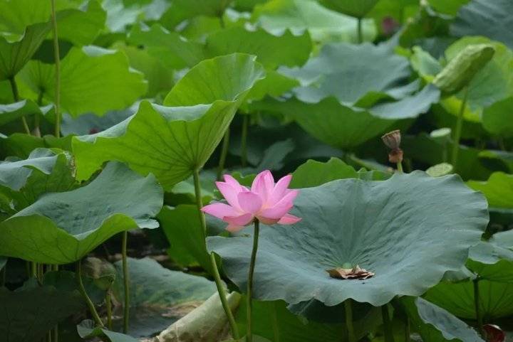 选择泰安力明科技职业中专十大理由