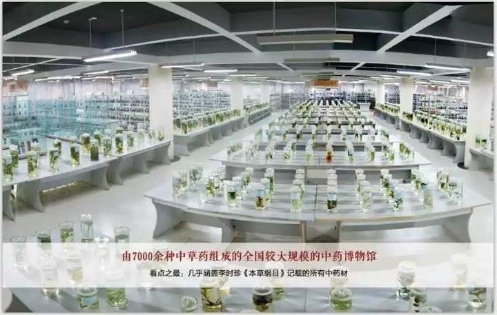 选择泰安力明科技职业中专十大理由